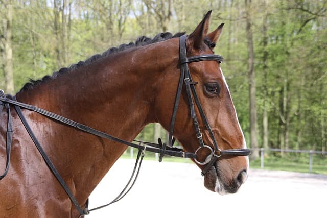 Ton i ton. Design i balans.